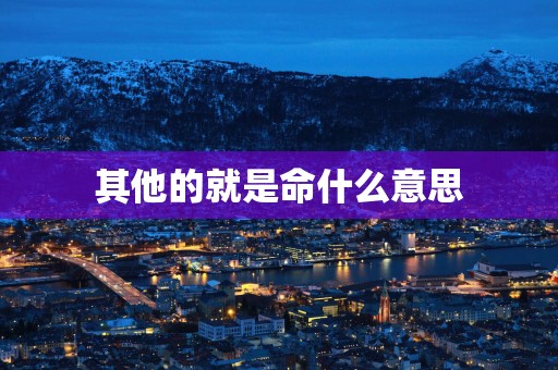 其他的就是命什么意思