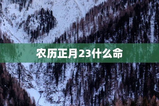 农历正月23什么命