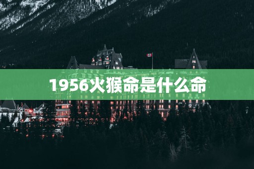 1956火猴命是什么命