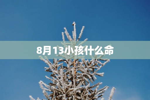 8月13小孩什么命