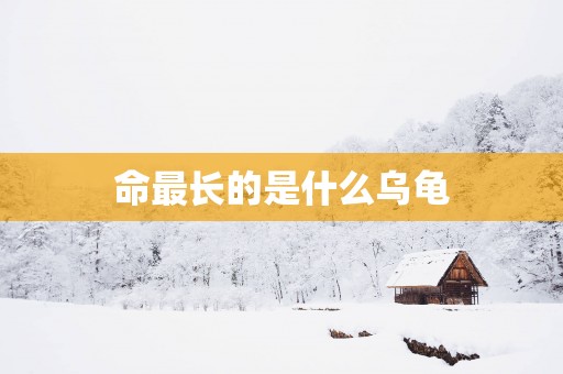 命最长的是什么乌龟