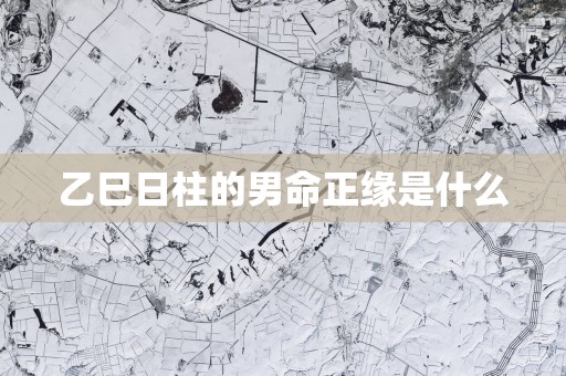 乙巳日柱的男命正缘是什么