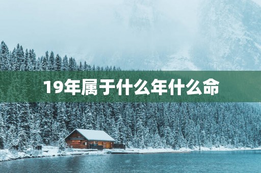 19年属于什么年什么命