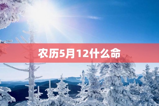 农历5月12什么命