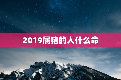 2019属猪的人什么命