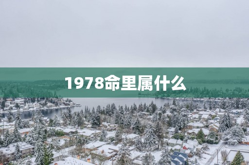 1978命里属什么