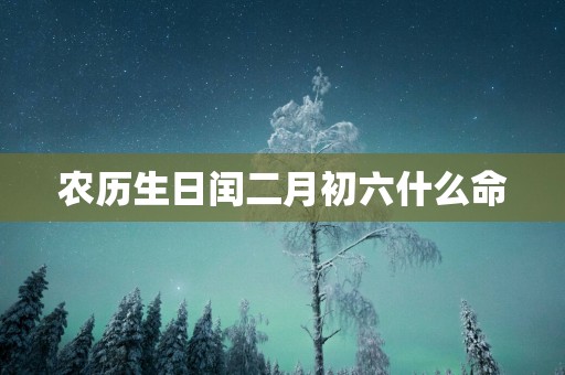 农历生日闰二月初六什么命