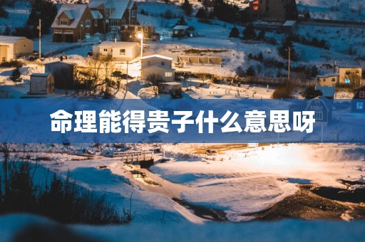 命理能得贵子什么意思呀
