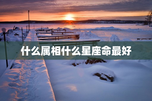 什么属相什么星座命最好