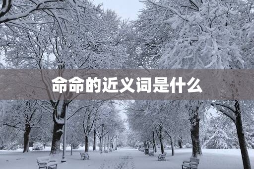 命命的近义词是什么