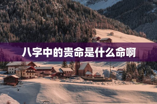 八字中的贵命是什么命啊