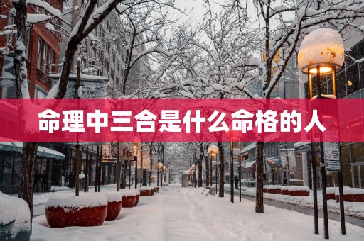 命理中三合是什么命格的人
