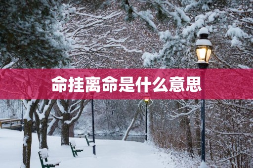 命挂离命是什么意思