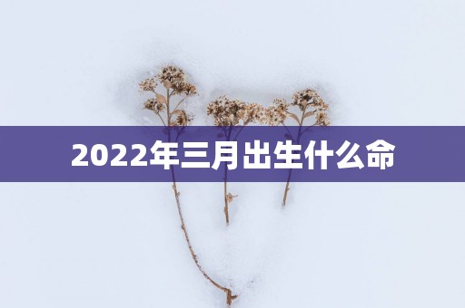 2025年三月出生什么命
