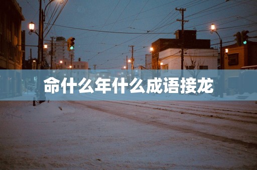 命什么年什么成语接龙