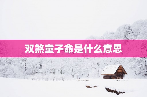 双煞童子命是什么意思