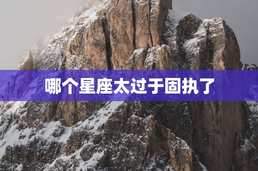 哪个星座太过于固执了