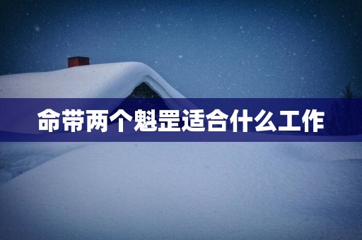 命带两个魁罡适合什么工作
