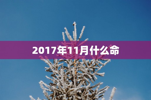 2017年11月什么命