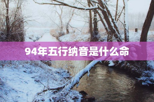 94年五行纳音是什么命