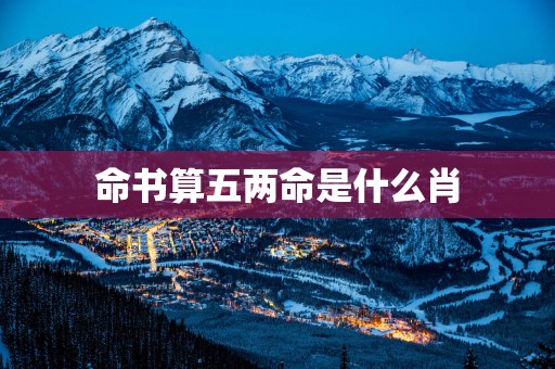 命书算五两命是什么肖