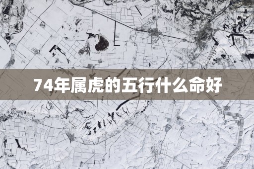 74年属虎的五行什么命好 74年属虎的五行什么命好