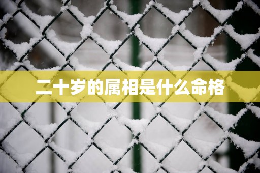 二十岁的属相是什么命格