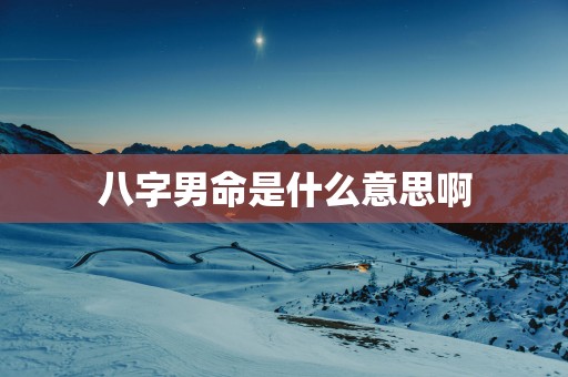 八字男命是什么意思啊