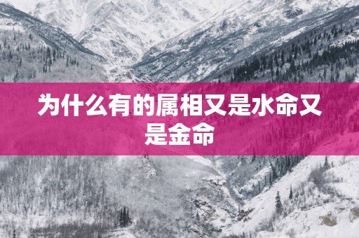 为什么有的属相又是水命又是金命