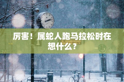 厉害！属蛇人跑马拉松时在想什么？