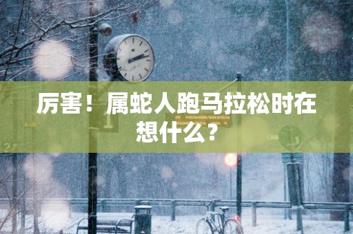 厉害！属蛇人跑马拉松时在想什么？