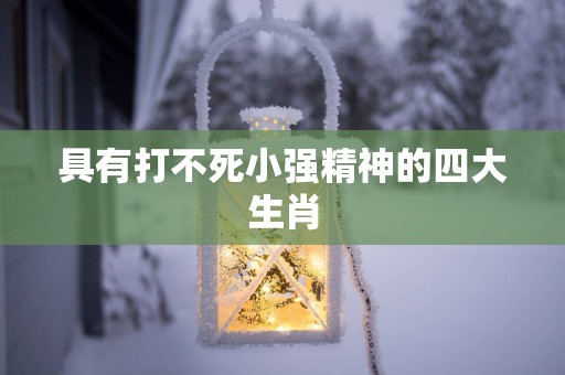 具有打不死小强精神的四大生肖