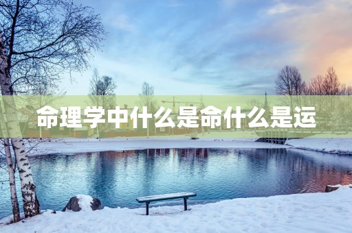 命理学中什么是命什么是运