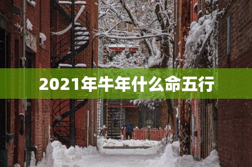 2025年蛇年什么命五行