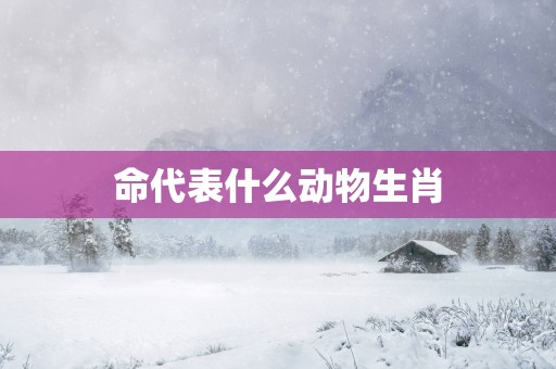 命代表什么动物生肖