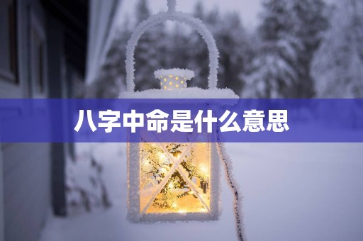 八字中命是什么意思