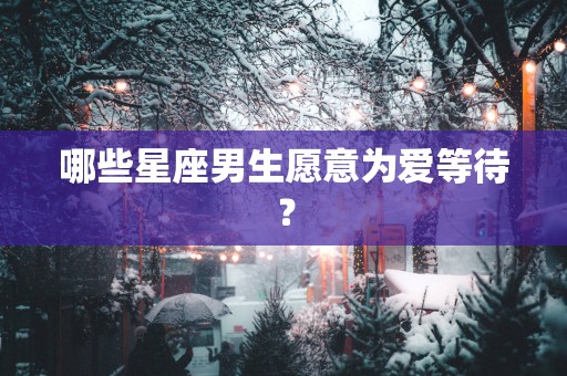 哪些星座男生愿意为爱等待？