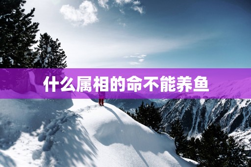 什么属相的命不能养鱼
