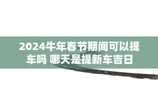 2025蛇年春节期间可以提车吗 哪天是提新车吉日