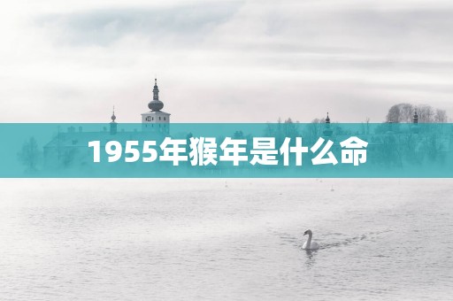 1955年猴年是什么命