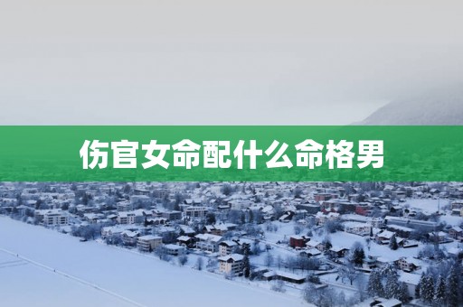 伤官女命配什么命格男