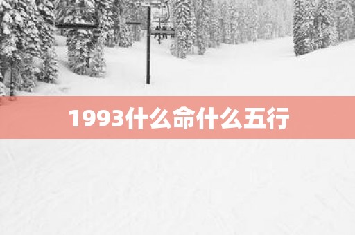 1993什么命什么五行