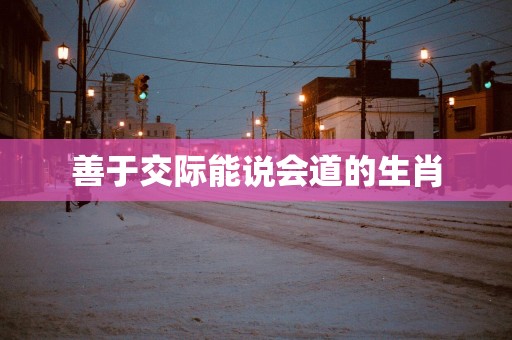 善于交际能说会道的生肖