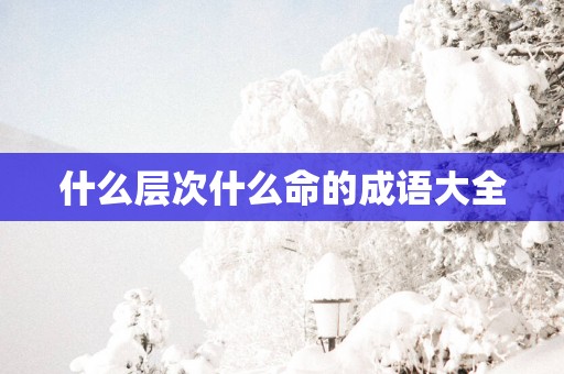 什么层次什么命的成语大全