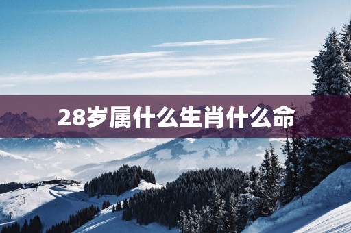 28岁属什么生肖什么命
