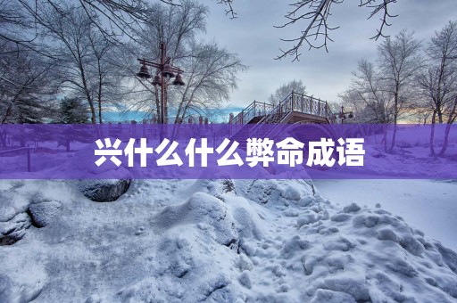 兴什么什么弊命成语