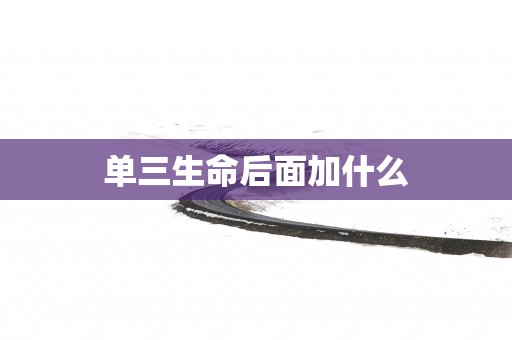 单三生命后面加什么