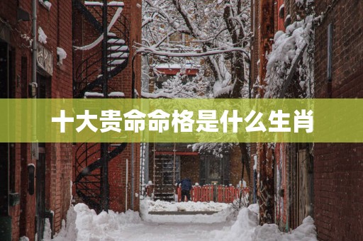 十大贵命命格是什么生肖
