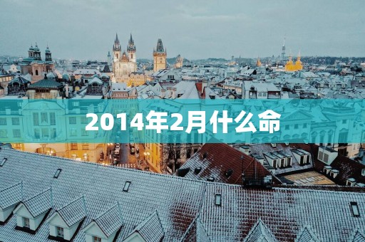 2014年2月什么命