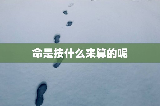 命是按什么来算的呢